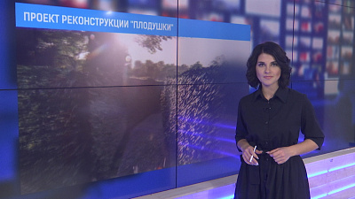 Дизайнеры представили эскизный проект реконструкции «Плодушки»