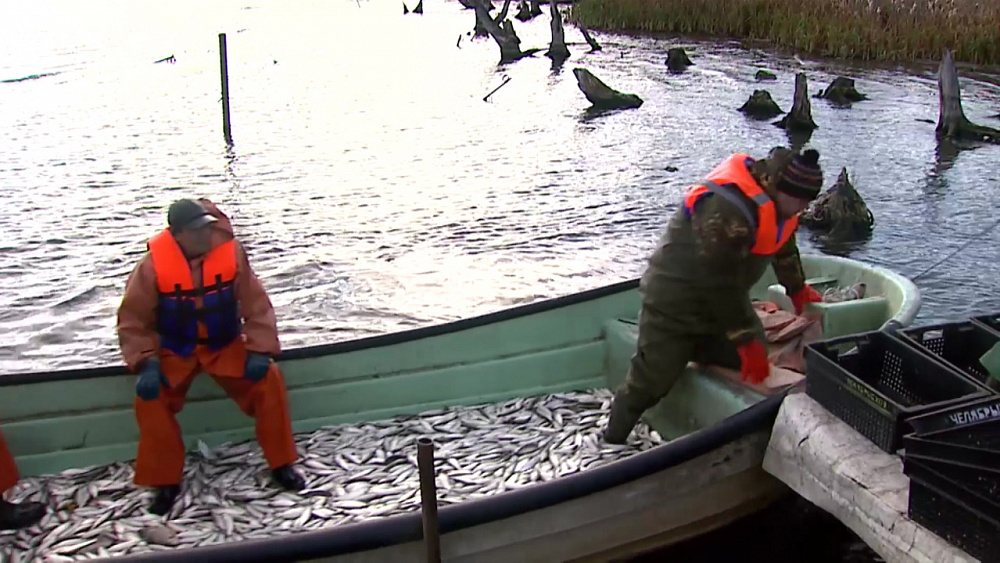 С южноуральских рыболовов снимут ограничения