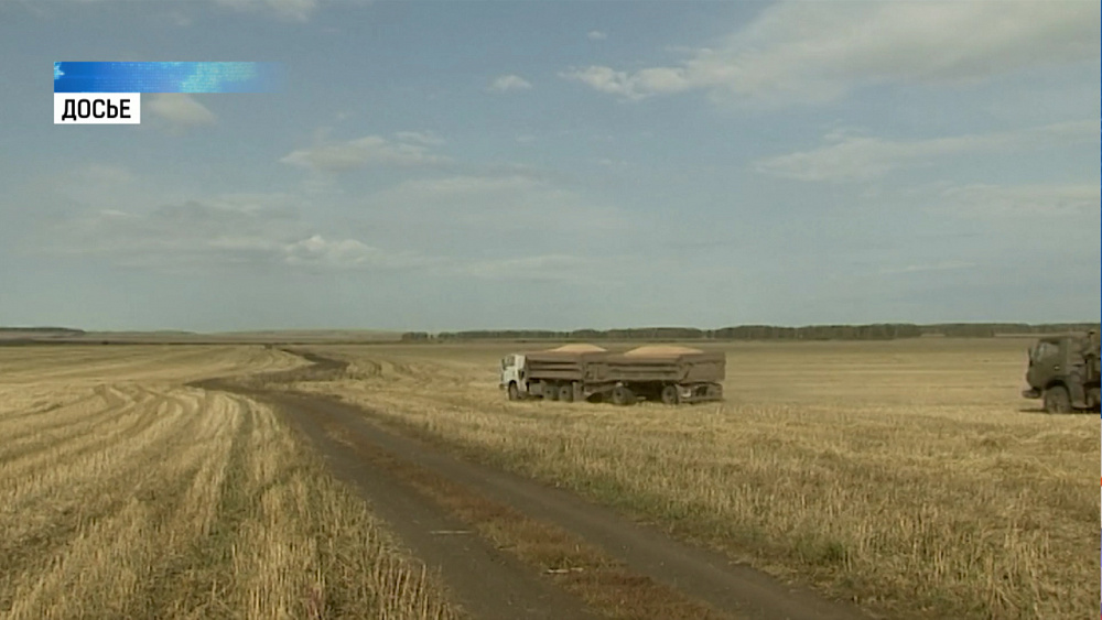 Экологи объяснили возможную причину неприятного запаха