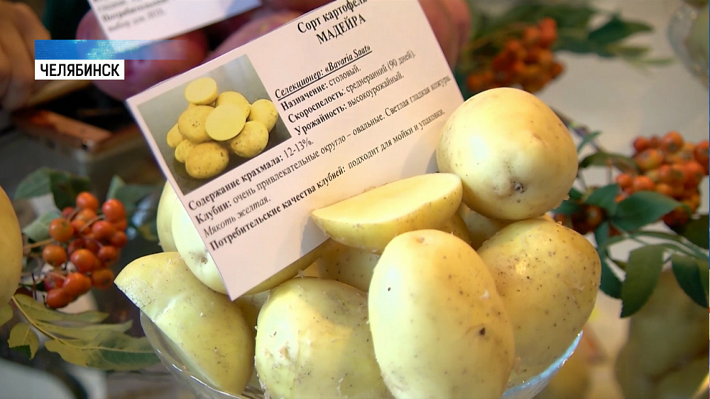 Выставка «Урожай» работает в «Тракторе»