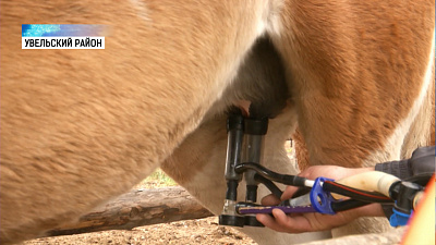 Более 4 миллиардов рублей получат аграрии