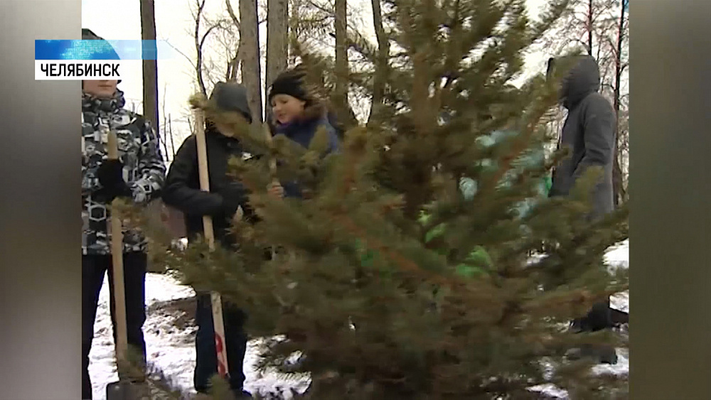 В парке Терешковой высадили деревья