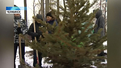 В парке Терешковой высадили деревья