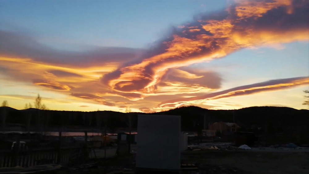 Розы в небе