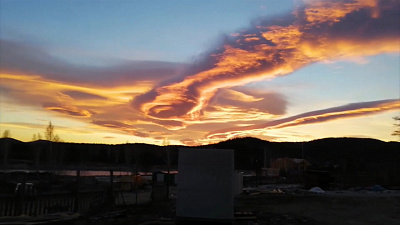 Розы в небе