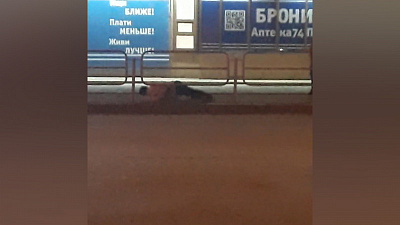 Челябинец, занявшийся спортом посреди тротуара, удивил жителей Ленинского района