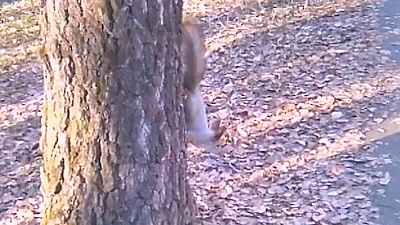 Заканчиваем неделю сеансом «Ми-ми-ми»