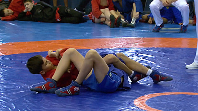 Обзор спортивных событий от 16.11.2018