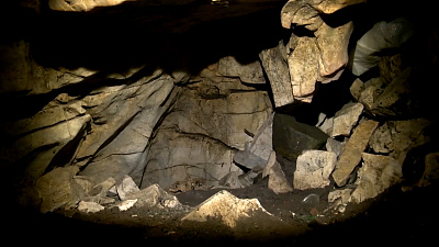 Череп древнего человека