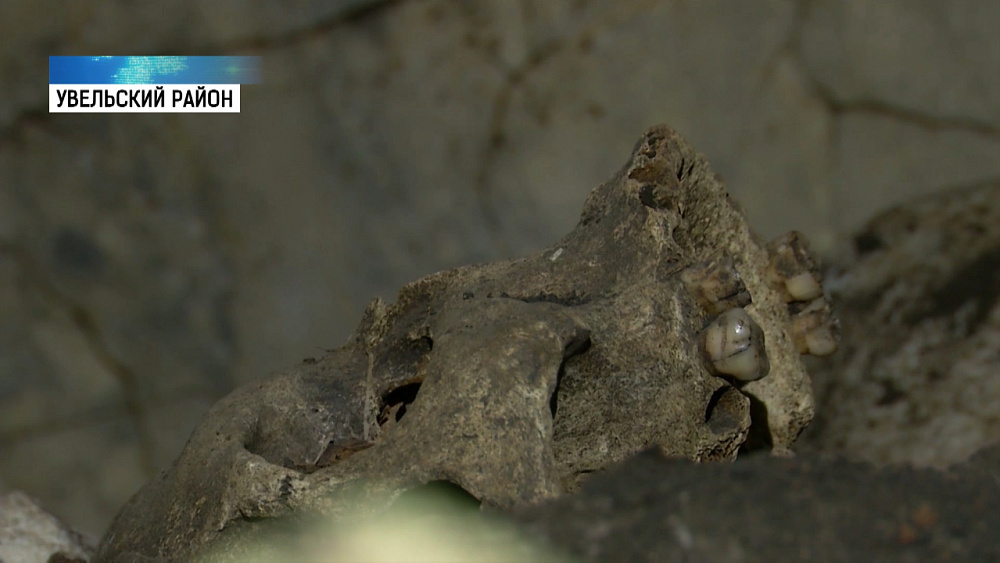 В Увельском районе обнаружен череп шамана?