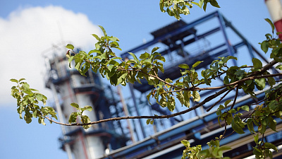 В Челябинске может появиться сообщество эко-предпринимателей