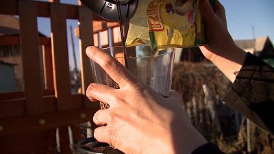 Садовые истории – кормушки для птиц