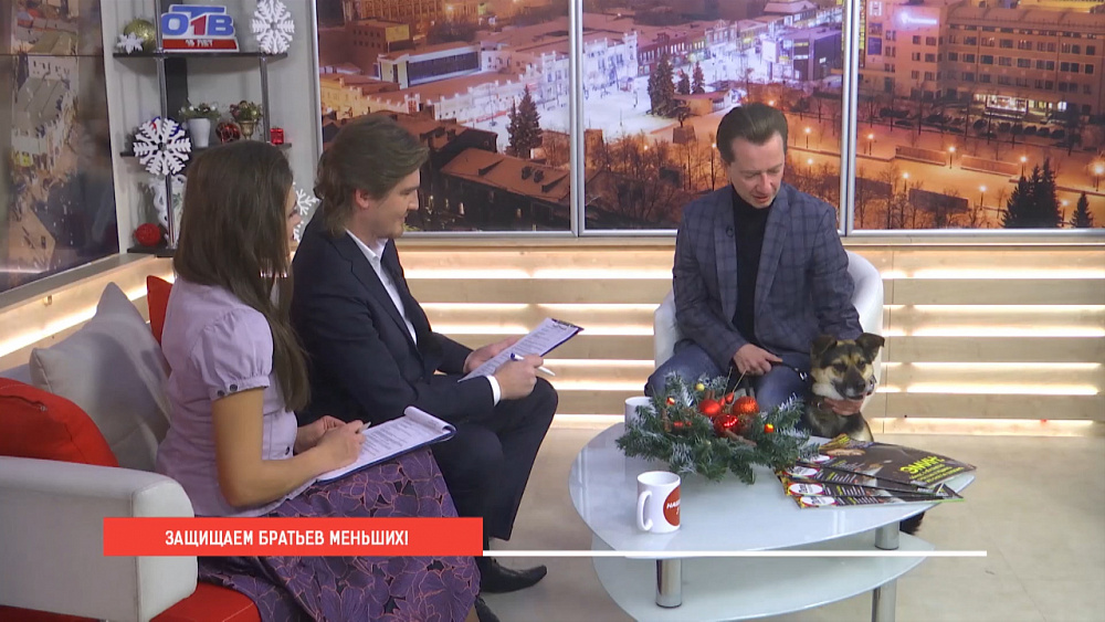 Защитим братьев меньших