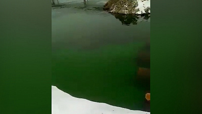 Зеленый Миасс в районе Цирка напугал горожан