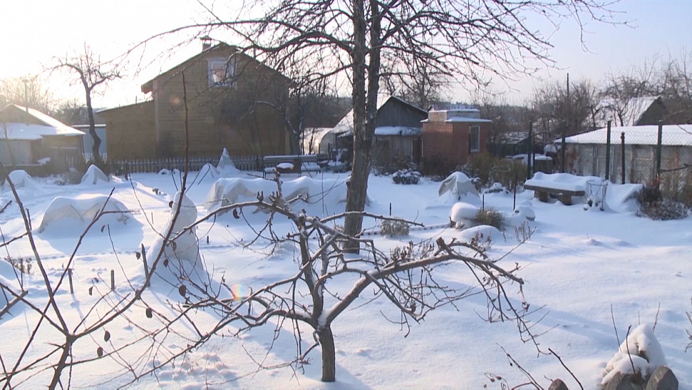 Садовые истории – Зачем нужен снег в саду