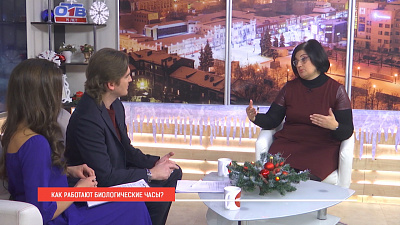 Как работают биологические часы?