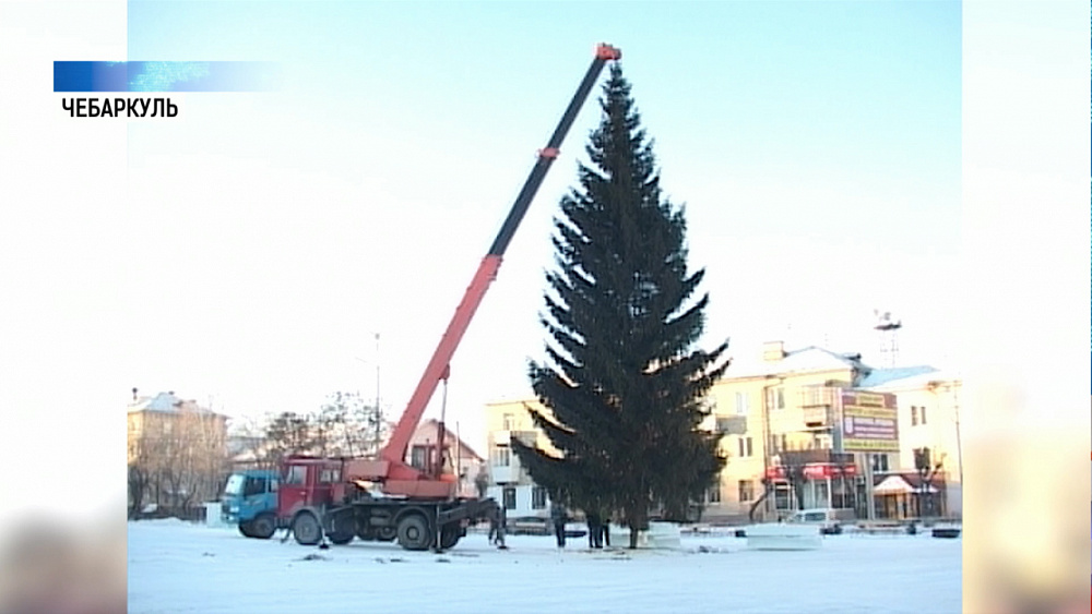 В Чебаркуле спилили не ту ёлку для главной площади