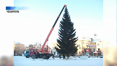 В Чебаркуле спилили не ту ёлку для главной площади