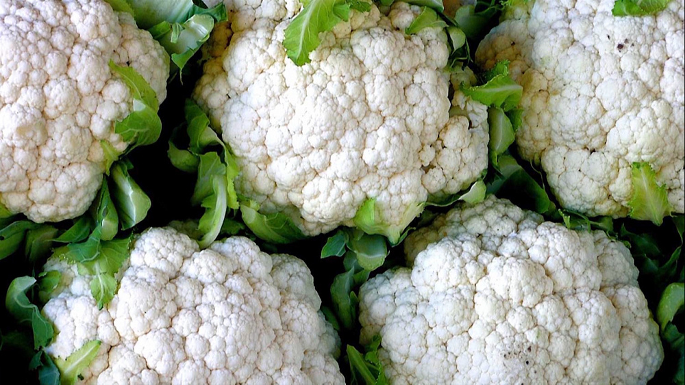 Садовые истории 