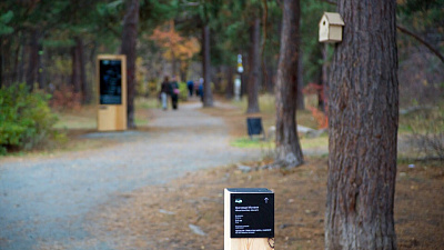 На экотропе в челябинском бору появится больше информационных стендов и малых архитектурных форм