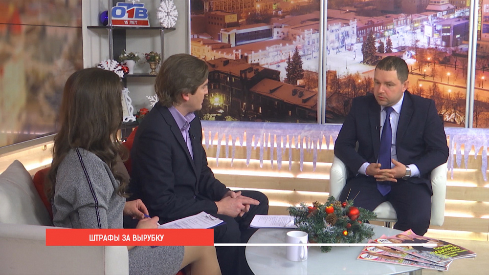 Охраняем елки от вырубки