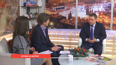 Охраняем елки от вырубки