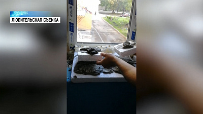 Подрядчиков обяжут переделывать некачественный ремонт