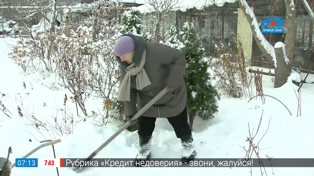 Садовые истории – работы со снегом на садовом участке