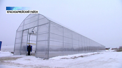 Губернатор поддержал бизнес Красноармейского района