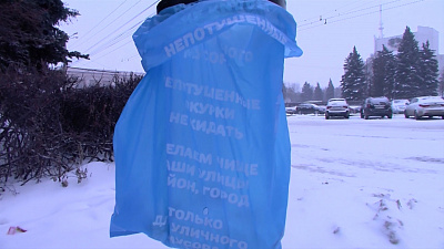 «Нано-урны» остаются на улицах Челябинска