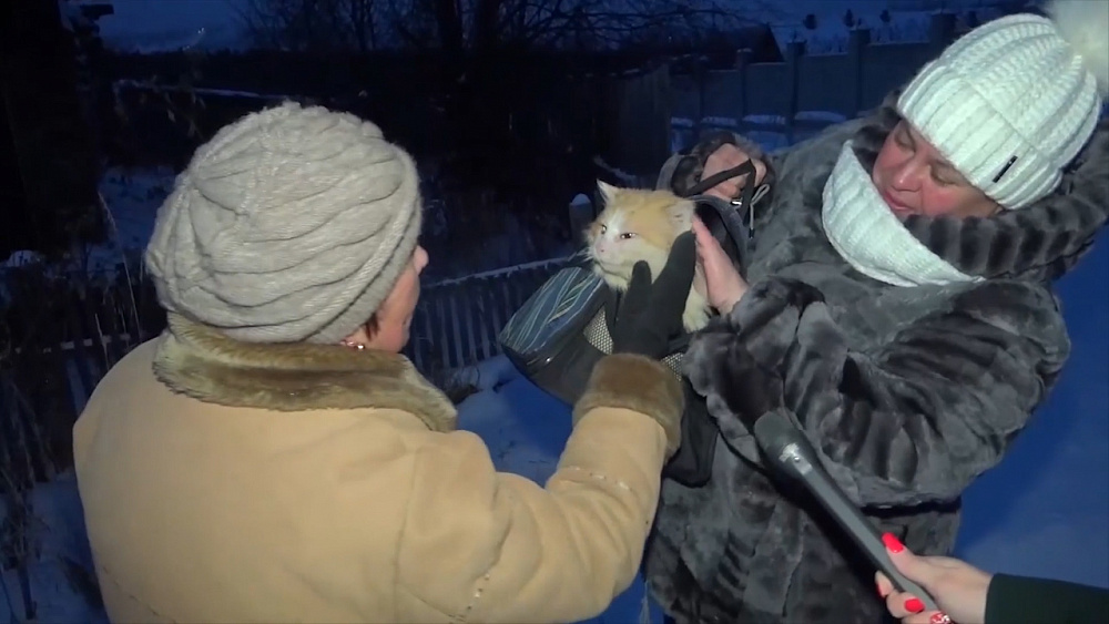 Большой рыжий кот полгода живёт на пепелище