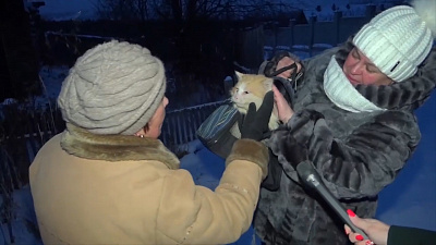 Большой рыжий кот полгода живёт на пепелище