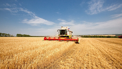 Фермерские хозяйства Южного Урала поддержат возросшими субсидиями