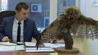 Безруков из Минэкологии рассказал, что будет с чучелом краснокнижной совы