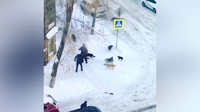 Расстрел уличных собак из травмата попал на видео