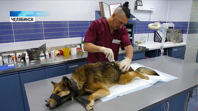 Виновные в жестоком обращении будут наказаны