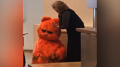 Студент в Екатеринбурге пришел сдавать зачет в костюме кота и получил «пожизненную сдачу»