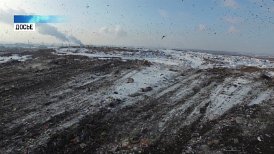 Рекультивацией свалки займётся один подрядчик