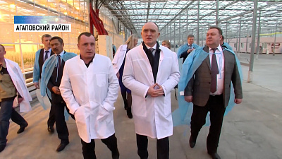 Губернатор посетил агропредприятия Агаповского района