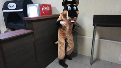 Ночная фотоохота за волком в Златоусте попала на видео