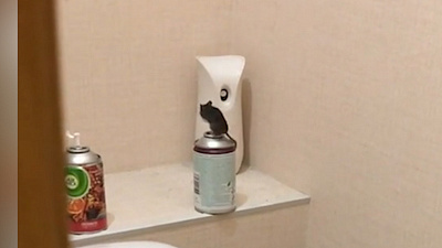 Челябинка не ночует дома из-за гостьи в туалете. ВИДЕО