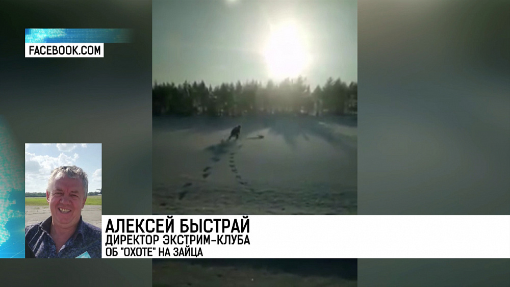 Житель Челябинска смог голыми руками поймать зайца