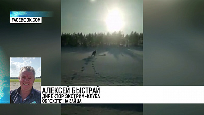 Житель Челябинска смог голыми руками поймать зайца