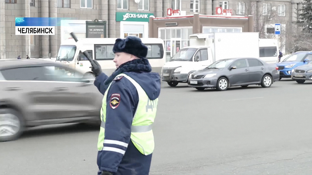 Сотрудник ДПС переводит животных через дороги