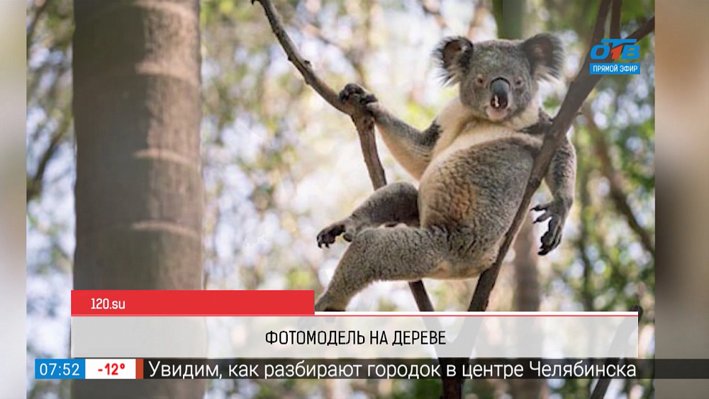 Обзор интернета — день медленных шагов