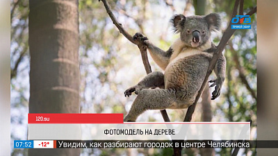 Обзор интернета — день медленных шагов