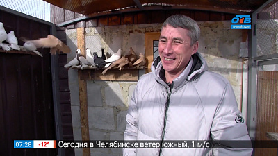 Мужское хобби — дальнобойщик разводит голубей