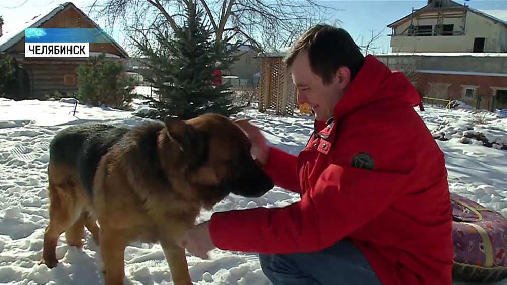 Долгий путь домой: пёс нашёлся спустя 6 лет