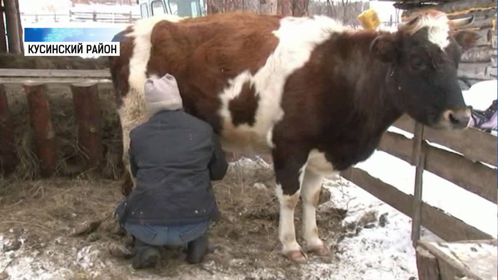 Выйти из трудной жизненной ситуации помогут соцконтракты