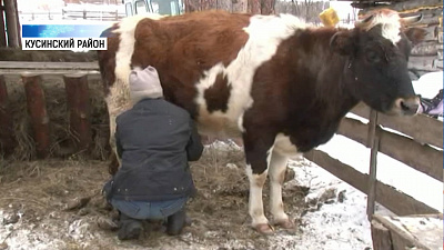 Выйти из трудной жизненной ситуации помогут соцконтракты